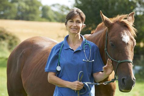 Syndrome découlement anal chez le cheval Causes potentielles et