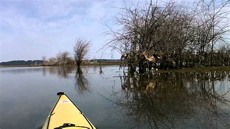 Kayaking The Nisqually Delta National Wildlife Refuge Youtube