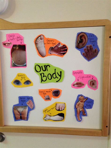 Toddler Classroom Board Pictures Of Each Students Different Parts Of