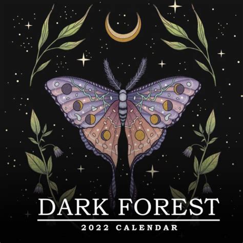 Buy Dark Forest 2022 Lunar Illustrated Monthly Moon Zodiac Signs