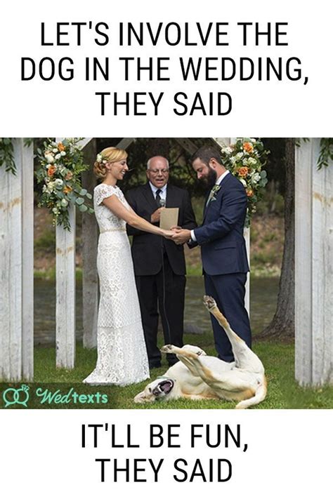 Pin On Wedding Memes