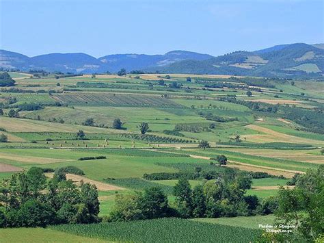 Hills Of Sumadija Serbia Travel Serbia Places To Visit