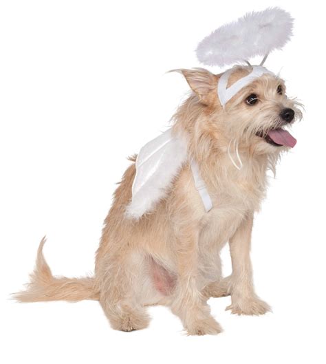 Rubies Angel Halo And Wings Set Dog Costume Pet Costume Center