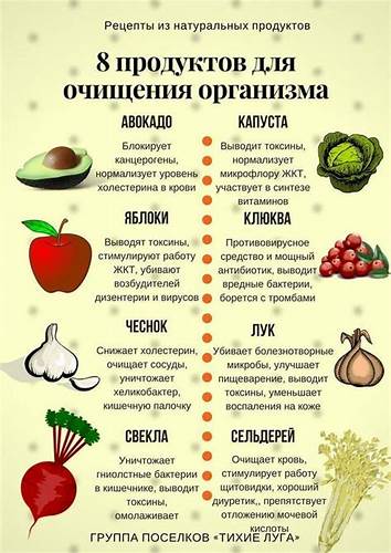 Какие диеты принимать