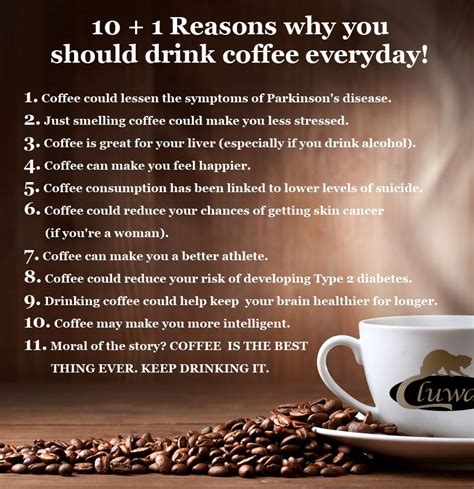 101 Reasons Why You Should Drink Coffee Everyday Coffee Drinks