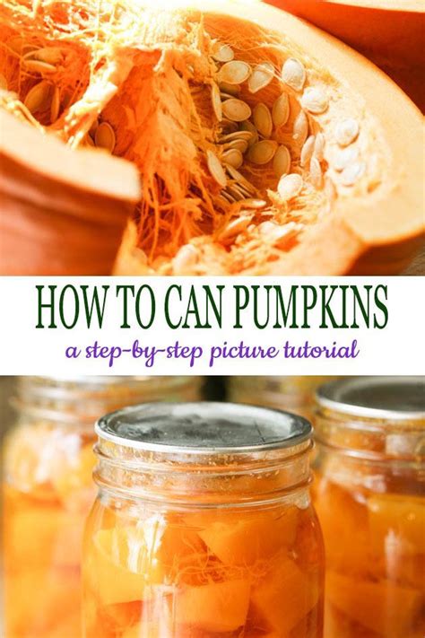 How To Can Pumpkin Recipe Canned Pumpkin Canning Recipes Pumpkin