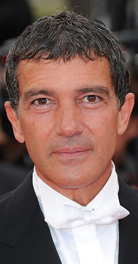 Antonio Banderas Imdb