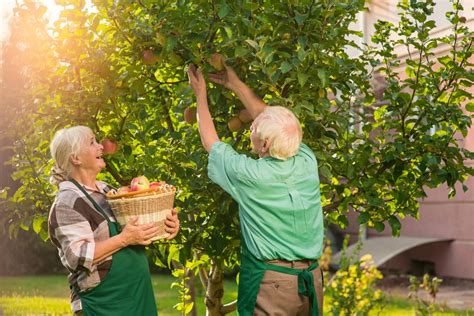 How To Grow Fruit Trees In Your Own Backyard Taste Of Home