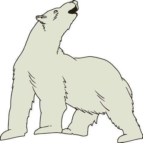 Polar Bear Vector Image Public Domain Vectors