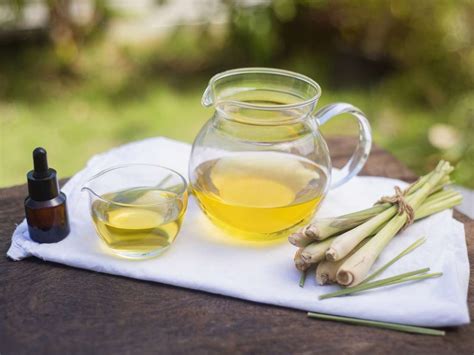 Lemongrass essential oil has antibacterial, antioxidant ...