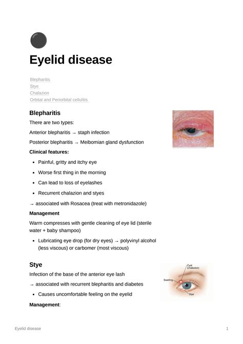 Solution Eyelid Disease Studypool