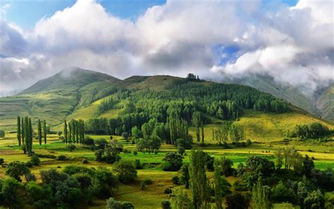 Download Wallpapers Turkey 4k Summer Mountains Hills Asia Forest