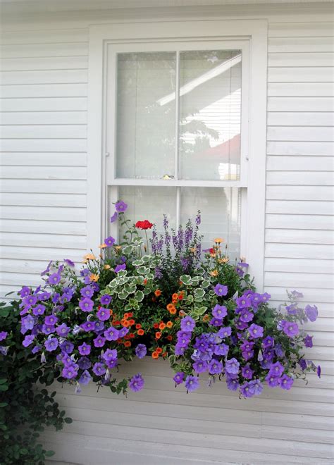 Pin By Carole Kaleto On Dream Home Window Box Flowers Railing Flower