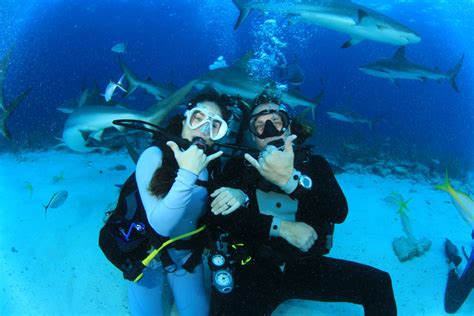 ‘what It Feels Like To Get Married Underwater With Sharks Underwater360
