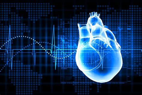 Biopsja serca | WP abcZdrowie