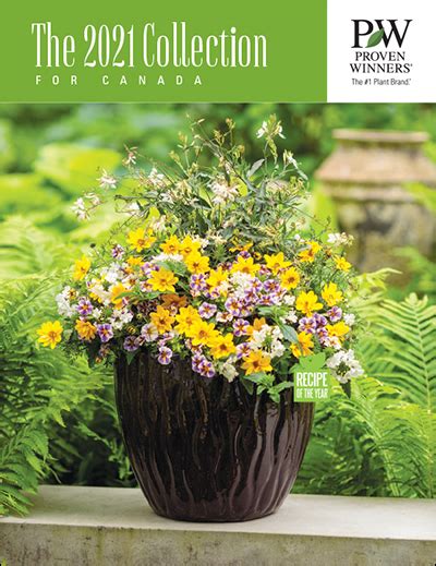 Check spelling or type a new query. Online Catalogs | Proven Winners