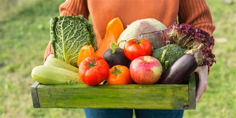 Mejores Alimentos Orgánicos Para Mantener Buena Salud Organicoseu