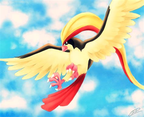 Pidgeot Pigeot By Ro Arts On Deviantart