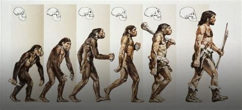 ما انسان‌ها از ماهی‌ها تکامل یافته‌ایم نه از میمون‌ها تصاویر اقتصاد24