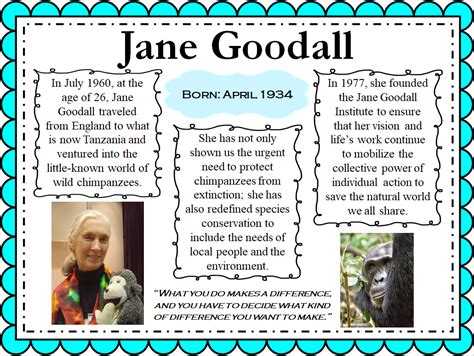Jane Goodall Mini Biography With Posters Timeline And More