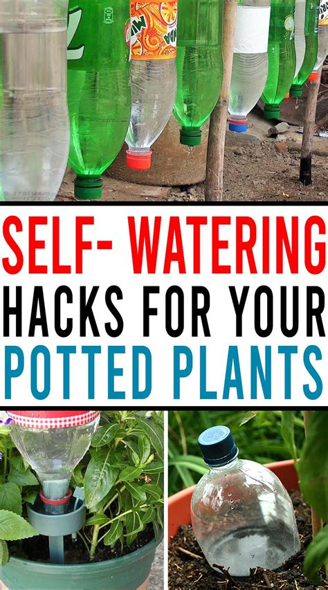 Best Self Watering System For Potted Plants Side Gigs From Home