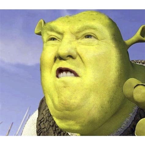 Shrek Face Swap Is The New Format R Memes