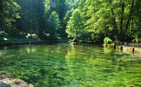 Bosna je rijeka u bosni i hercegovini. VRELO BOSNE - The spring of river Bosna; SARAJEVO TOURS ...