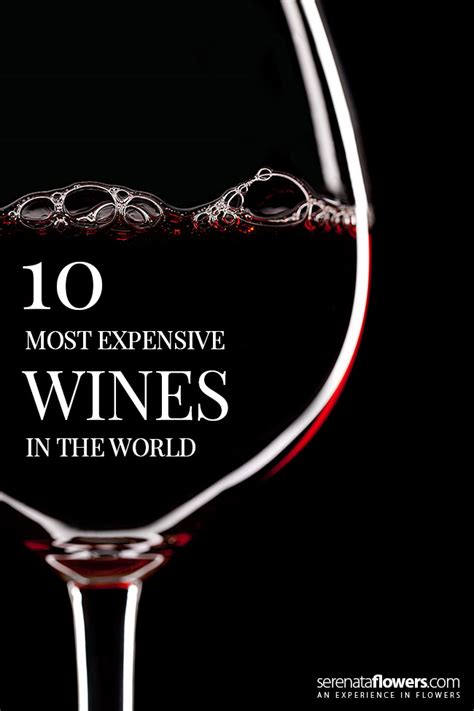 10 Most Expensive Wines In The World Pollennation