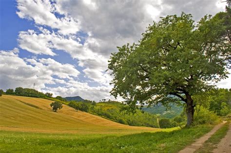 The Best Of The Italian Countryside In Pictures Walks Of Italy