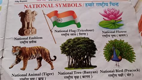 National Symbols Of India 🇮🇳 Youtube