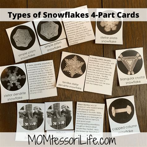 Types Of Snowflakes 4 Part Cards Etsy Momtessori Life