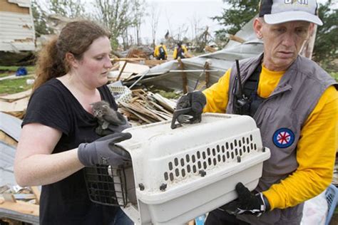 Oklahoma Tornado Pet Rescue Continues And How You Can Help Love Meow