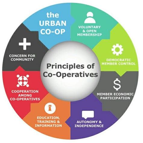 Principles Of Co Operatives Cooperative Principle Education Principles