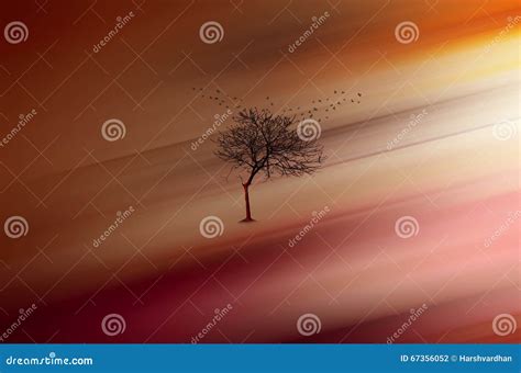 Abstract Dreams Fine Art Stock Photo Image Of Reflection 67356052