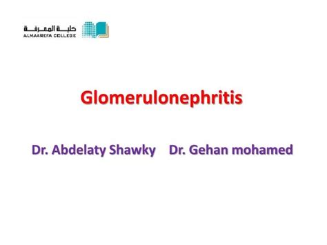 Ppt Glomerulonephritis Powerpoint Presentation Free Download Id