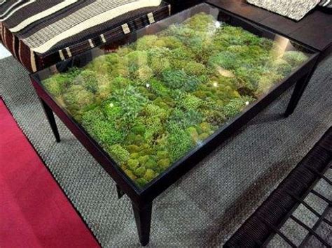 I've been wanting to make a piece of indoor 'garden' furniture for ages. Coffee table terrarium : pics