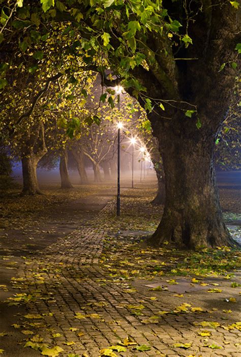 foggy path through Jesus Green at Cambridge University in England
