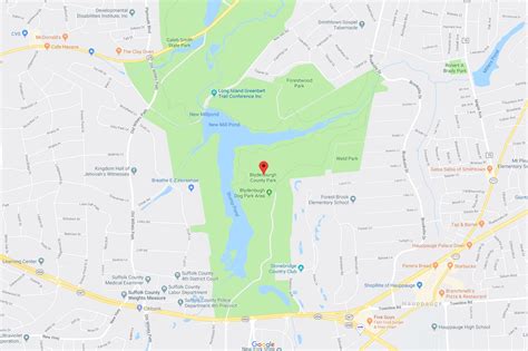 A Mike Who Likes to Hike