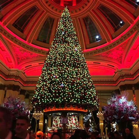 Biggest Christmas Tree Ive Seen Thedome Edinburgh Georgestreet