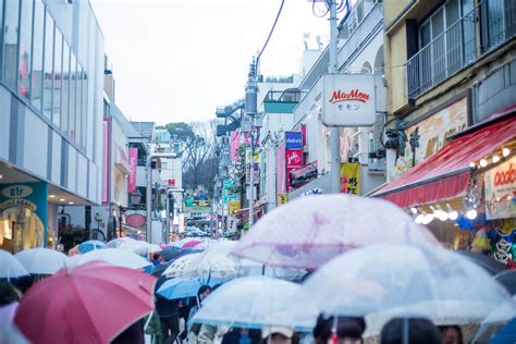 We've all been there…the campsite is booked, the trailer or tent is prepped and ready to go, but the forecast is for rain. Rainy Days in Japan: Things to Do in Japan During the ...