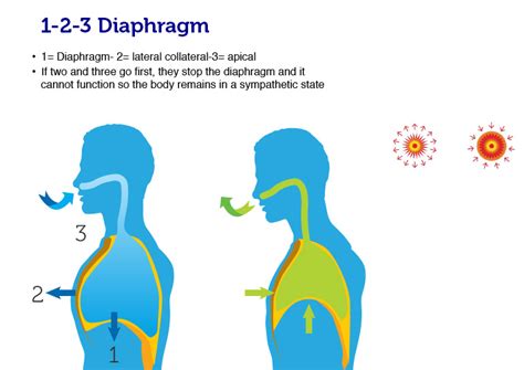 Diaphragm Breathing
