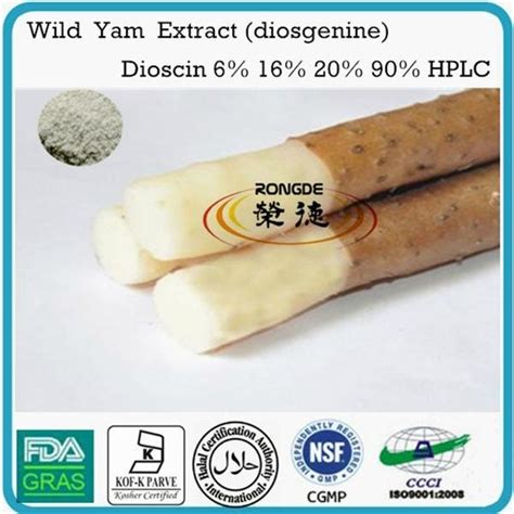 Wild Yam Extract Dioscin Powder 6 16 20 95 Rd E0012 Rongde China Trading Company