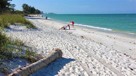 Pictures Of Naples Florida Beaches Wildcard Reining