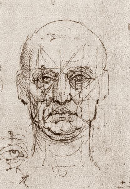 Leonardo Da Vinci Drawings Tuttart Pittura