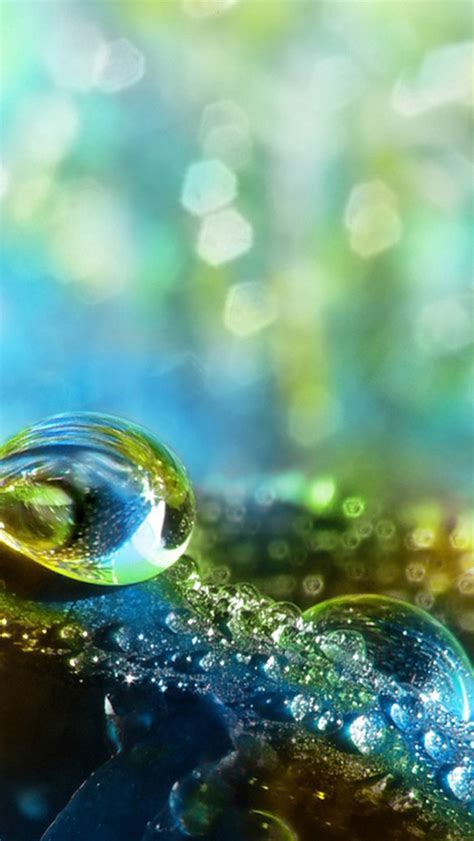 Dreamy Bokeh Dew Water Drop Macro Iphone Wallpapers Free Download