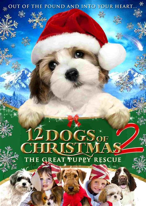 12 ძაღლი შობისთვის 2 12 Dogs Of Christmas 2 12 Zagli