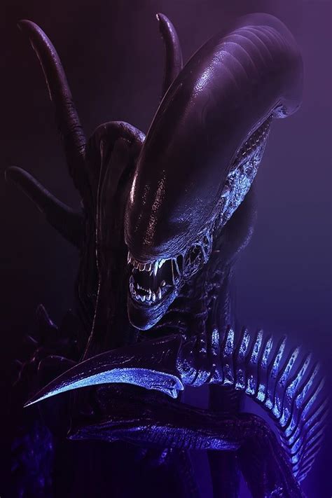 Alien Xenomorph Alien Vs Predator Predator Movie Giger Art Hr