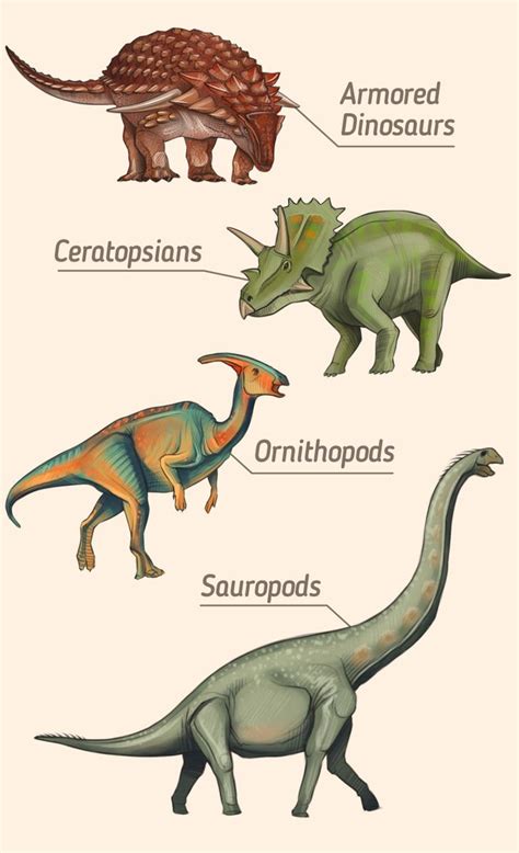 A Guide To The Different Types Of Dinosaurs 5 Minute Crafts En 2023