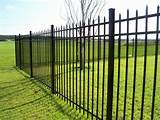 Wood Fence Vs Metal Fence
