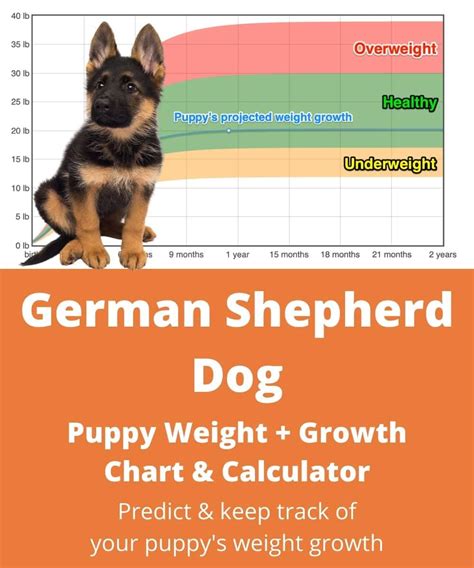 Feeding Chart For German Shepherd Puppy